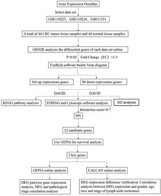 Identification of Potential Diagnostic and Prognostic Biomarkers for Colorectal Cancer Based on GEO and TCGA Databases